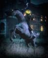 headless_horseman_001