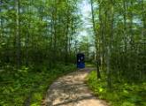 wald_tardis2